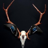 Lauren Baker | Artist, Sculptor and Collaborator