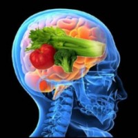 Multisensory Definition